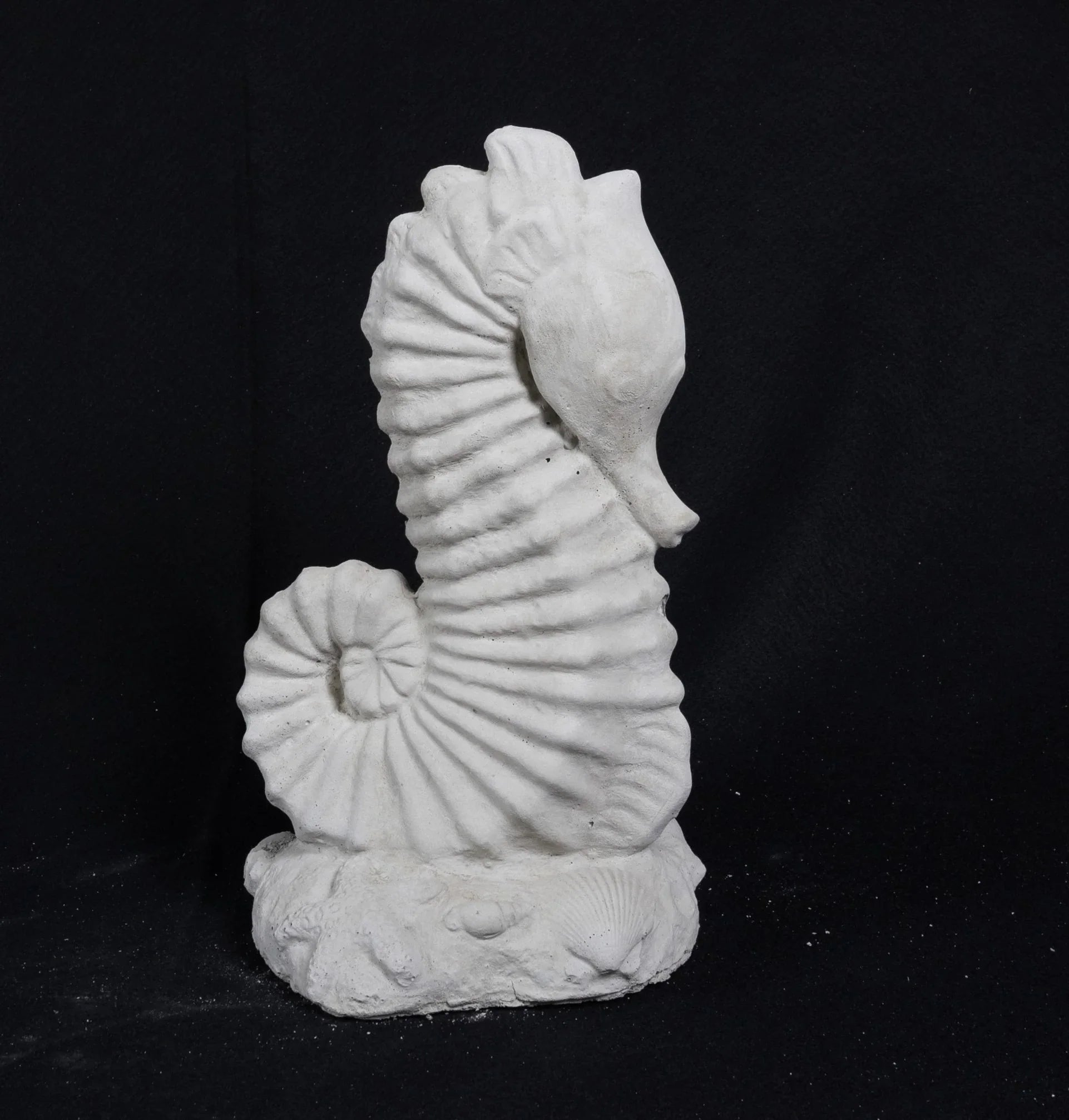 Seahorse - Medium