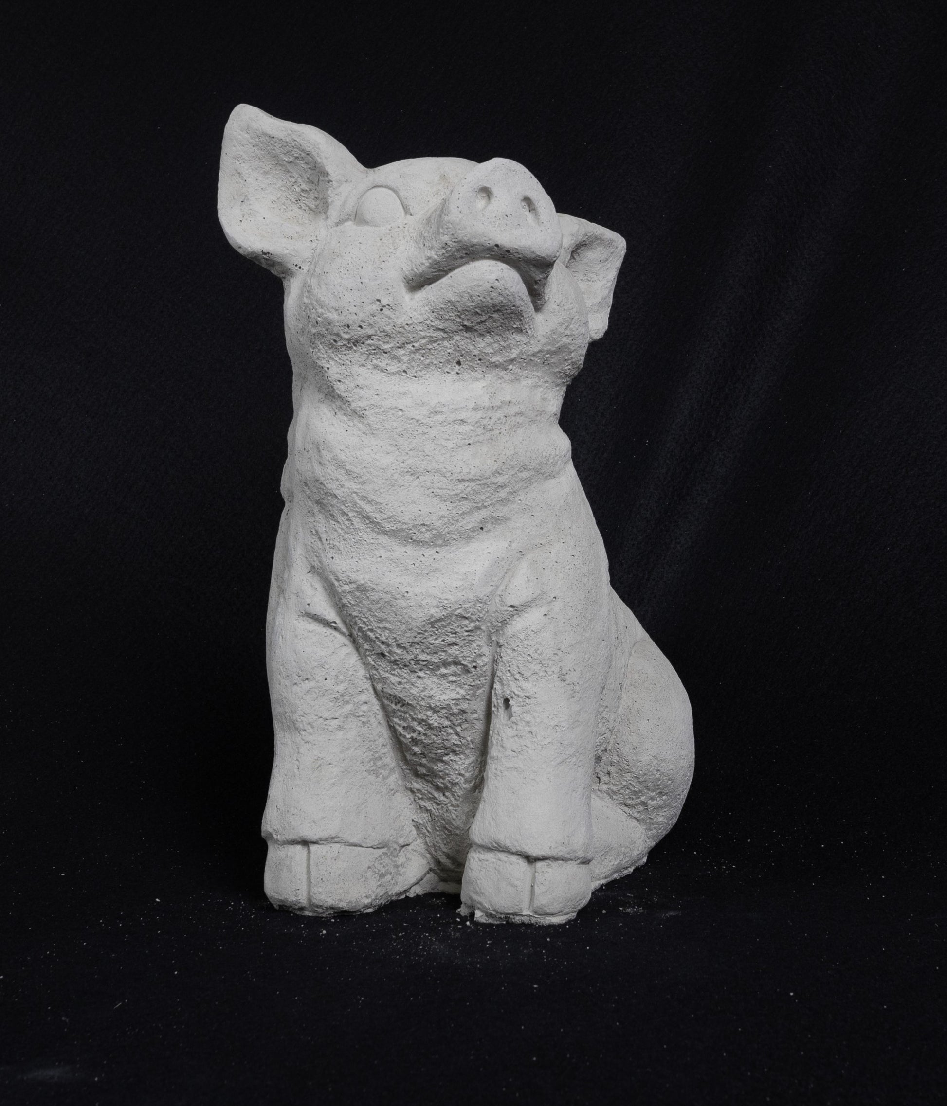 Seated Pig