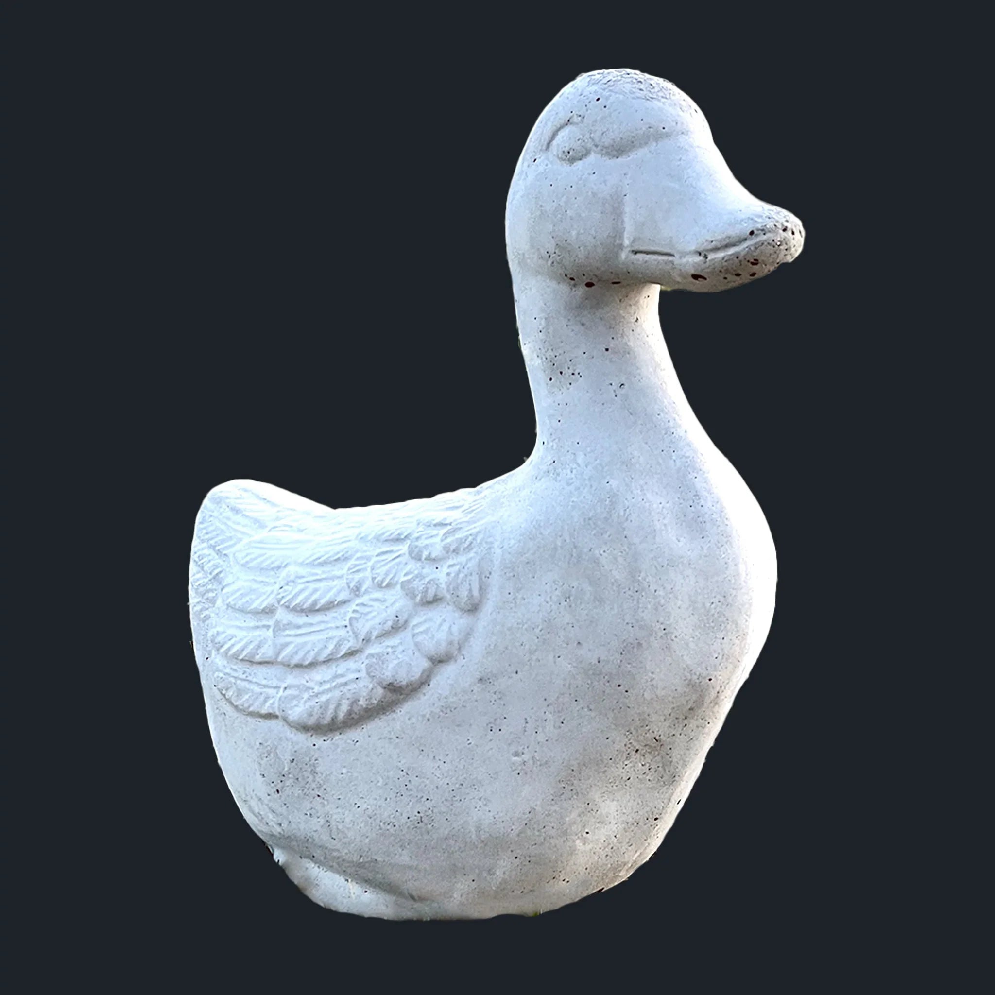 Small Duck