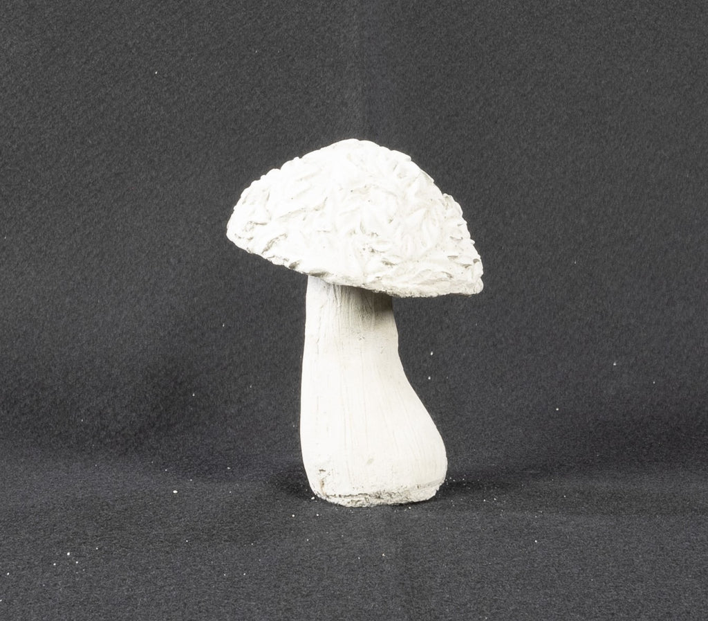 Mushroom with Leaves