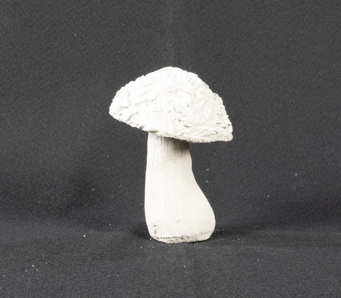 Mushroom with Leaves
