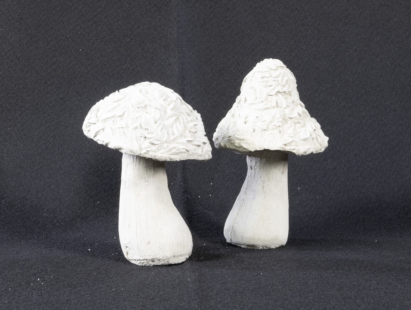 Mushroom with Leaves