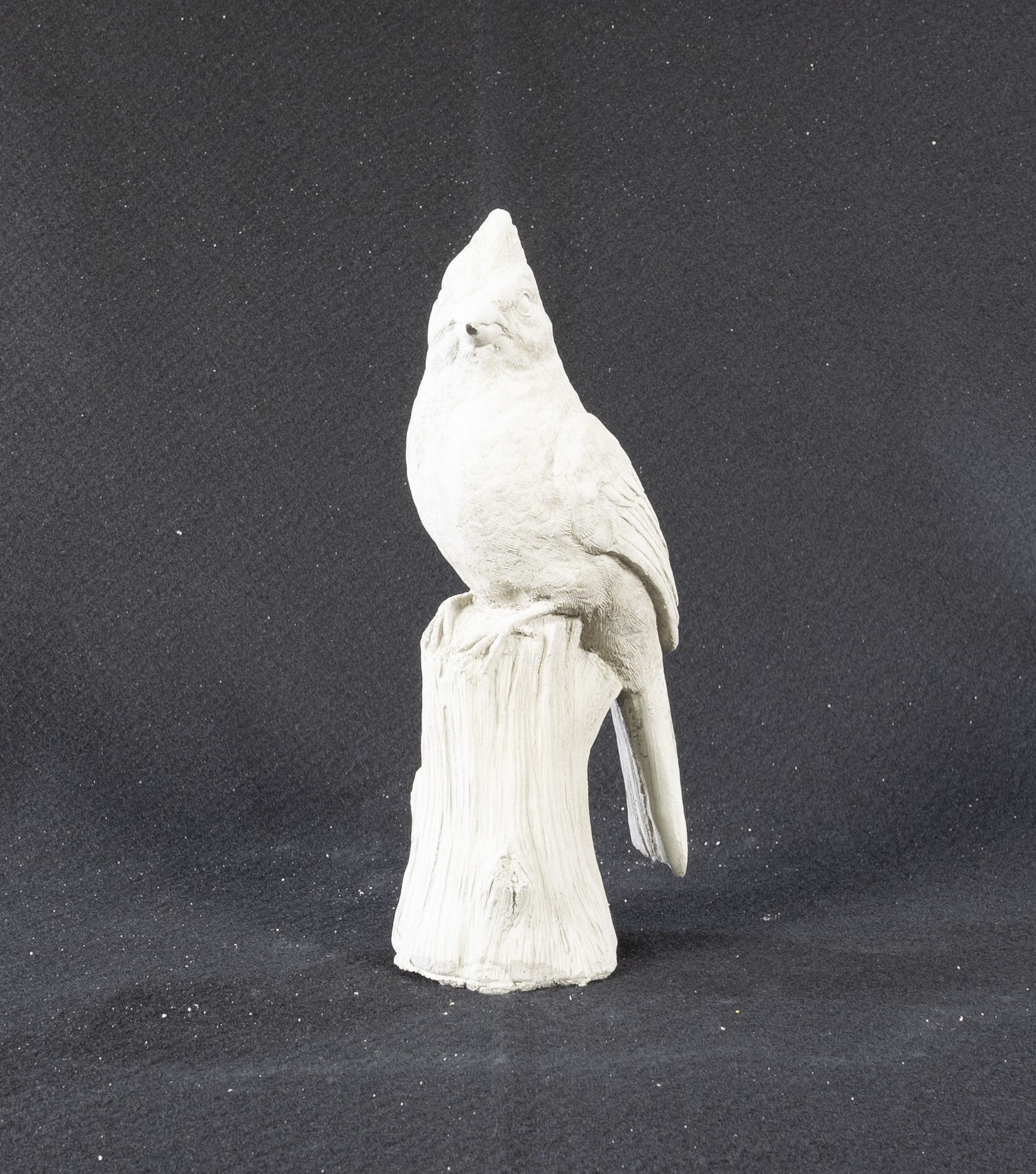 Cardinal