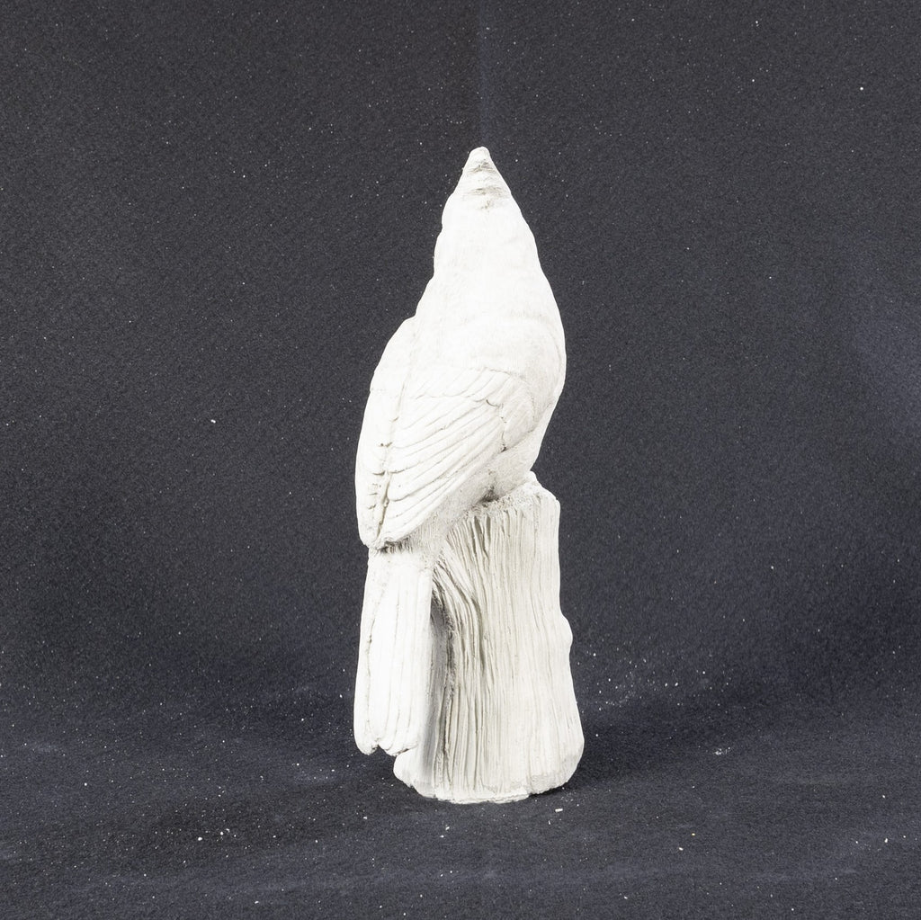 Cardinal