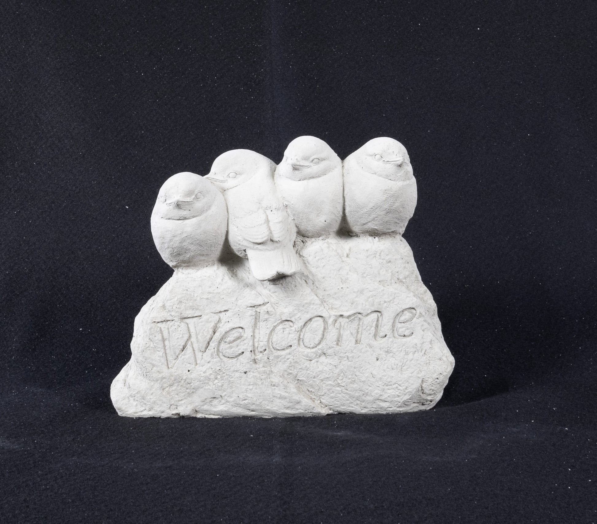 Welcome Birds