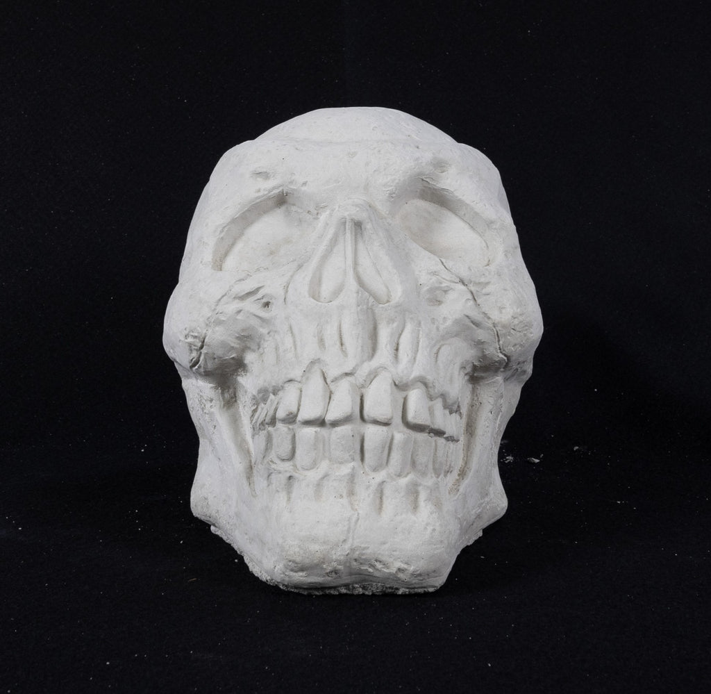 Skull - Large
