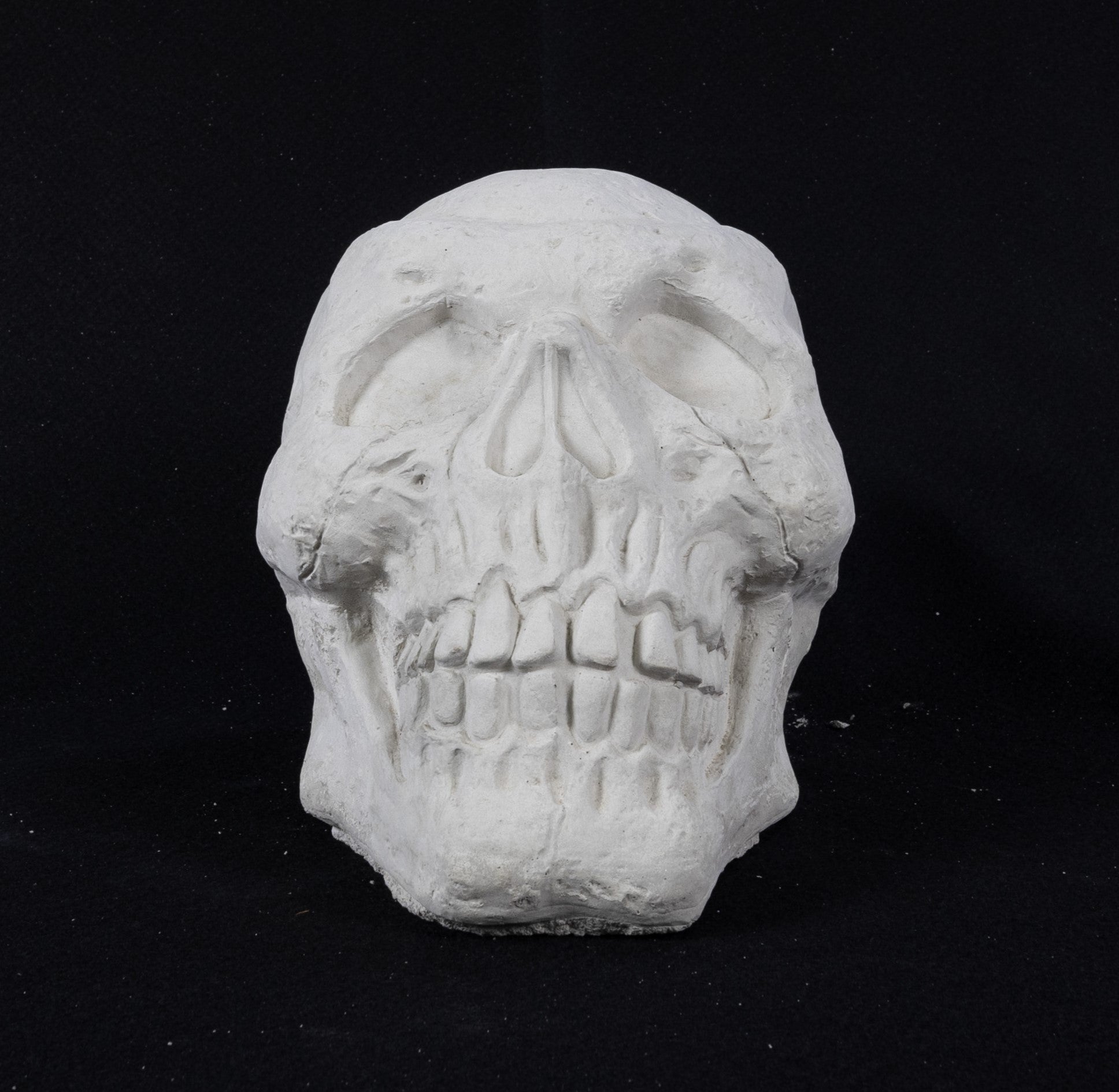 Skull - Large