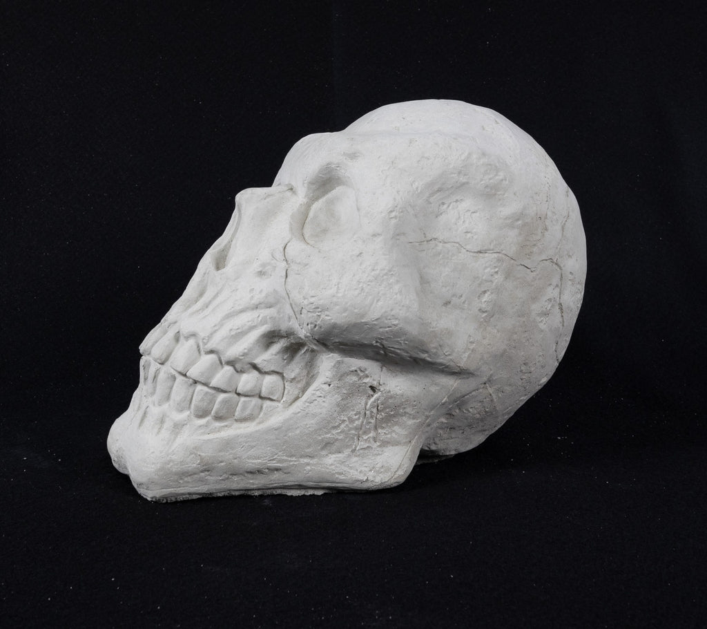 Skull - Large