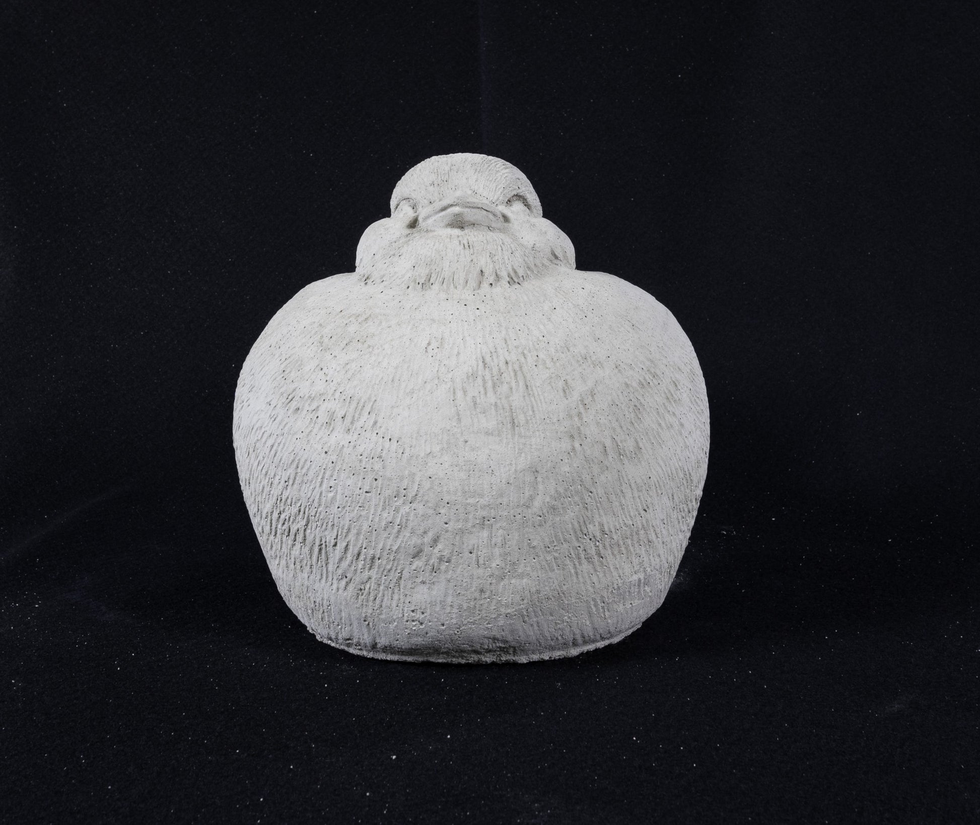 Fat Bird