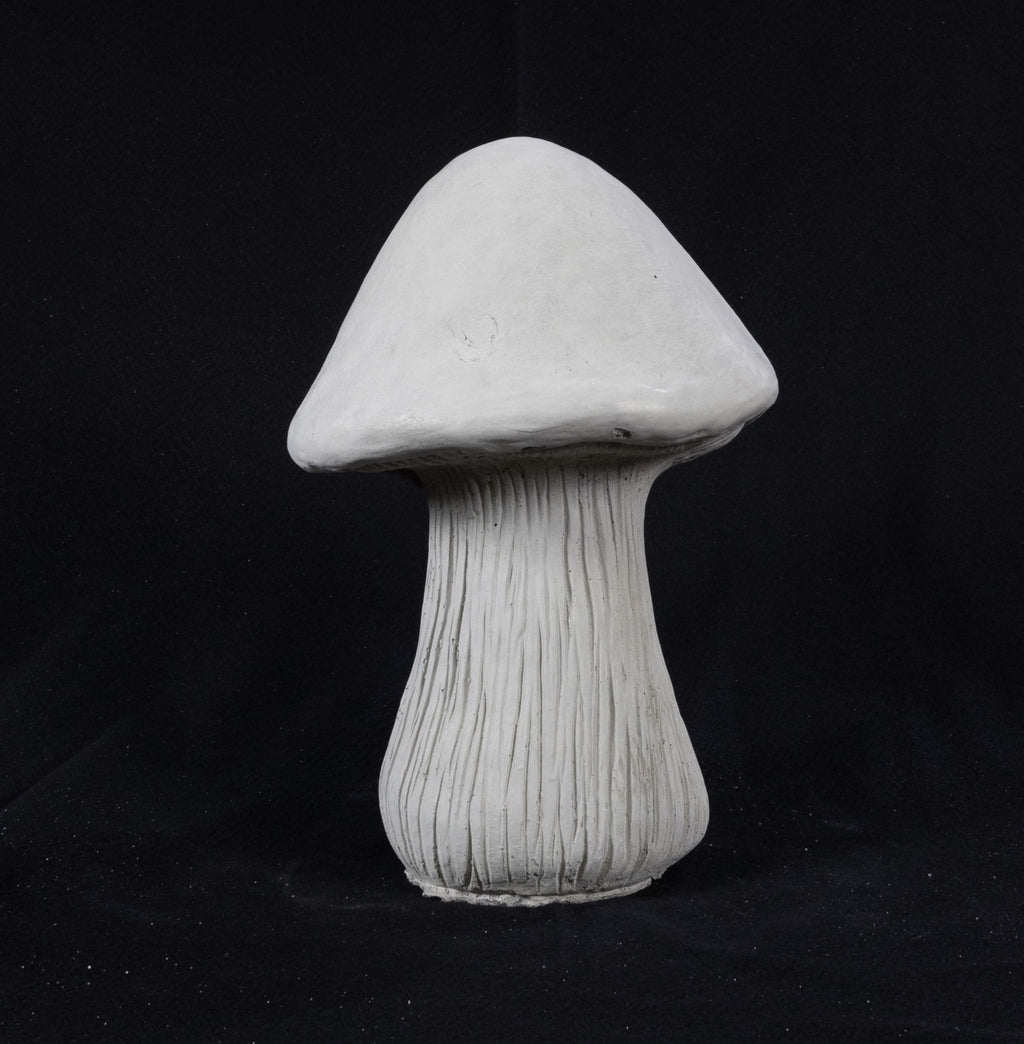 Big Mushroom