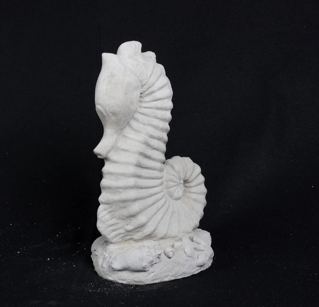 Seahorse - Medium