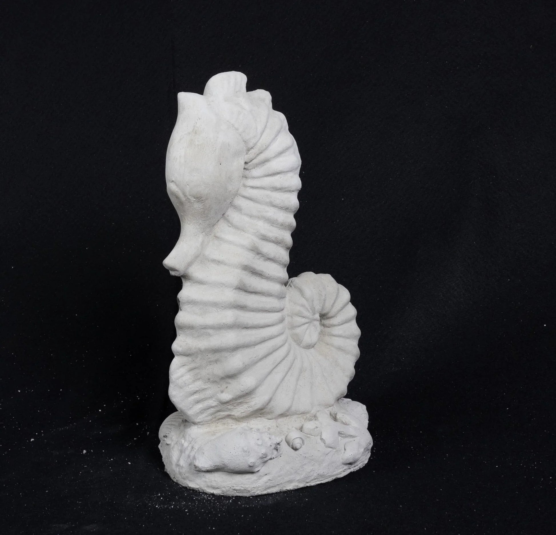 Seahorse - Medium