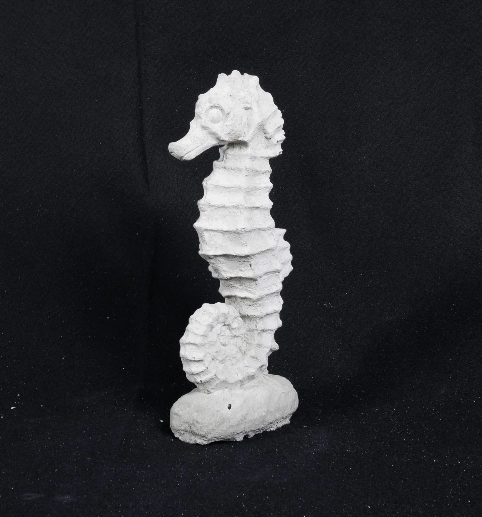 Seahorse - Small