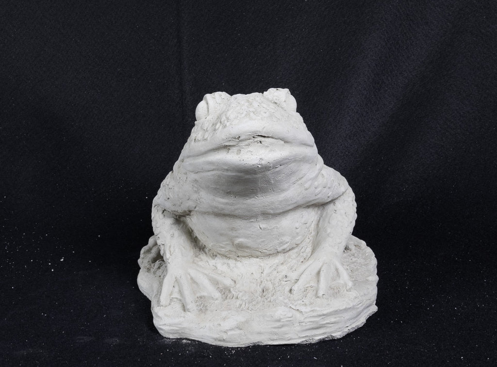 Toad Bumpy