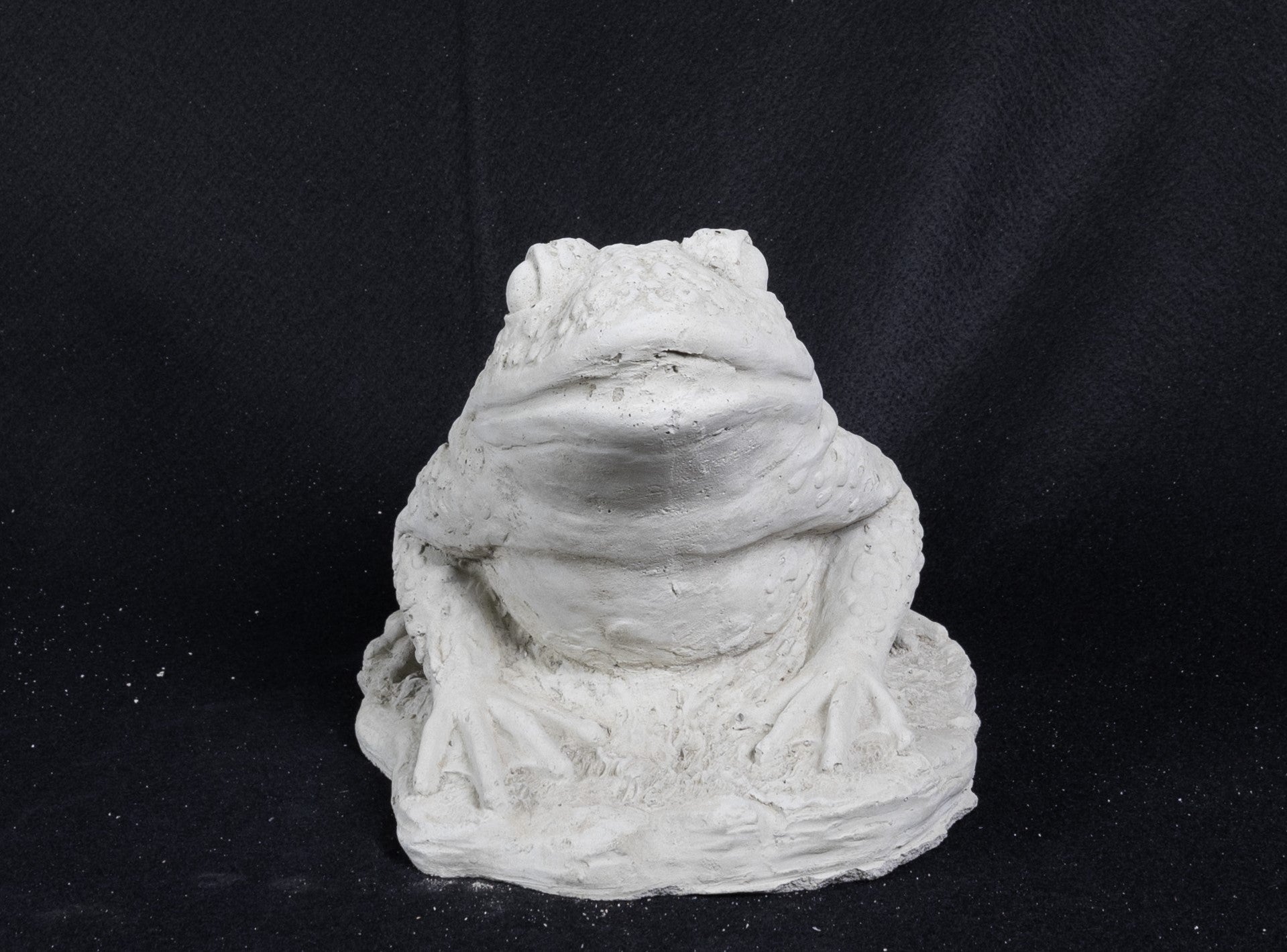Toad Bumpy