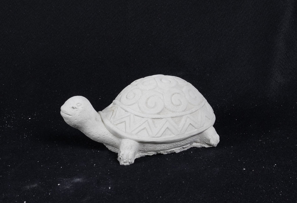 Turtle - Swirly Shell
