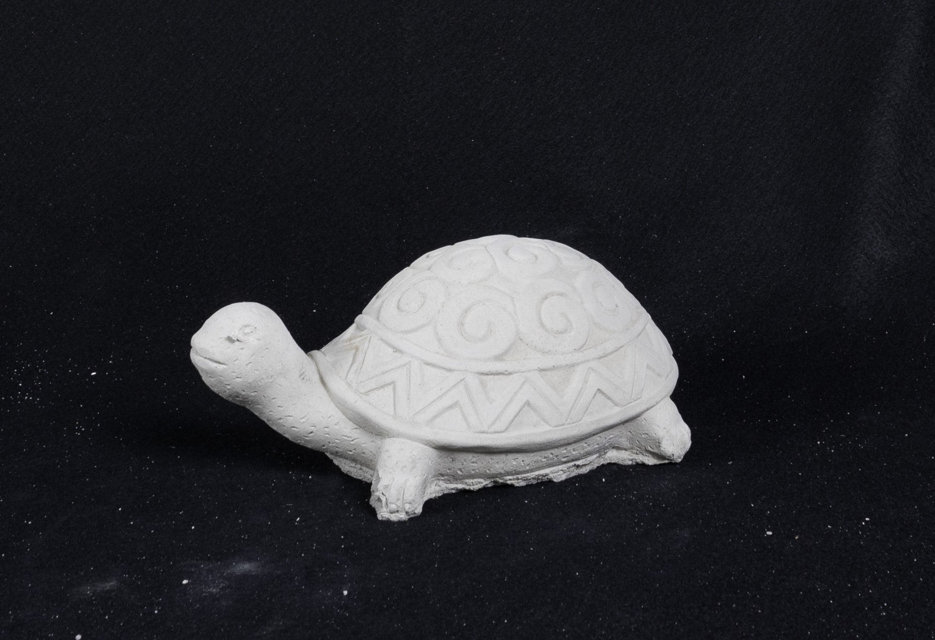 Turtle - Swirly Shell
