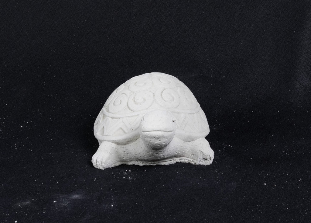 Turtle - Swirly Shell