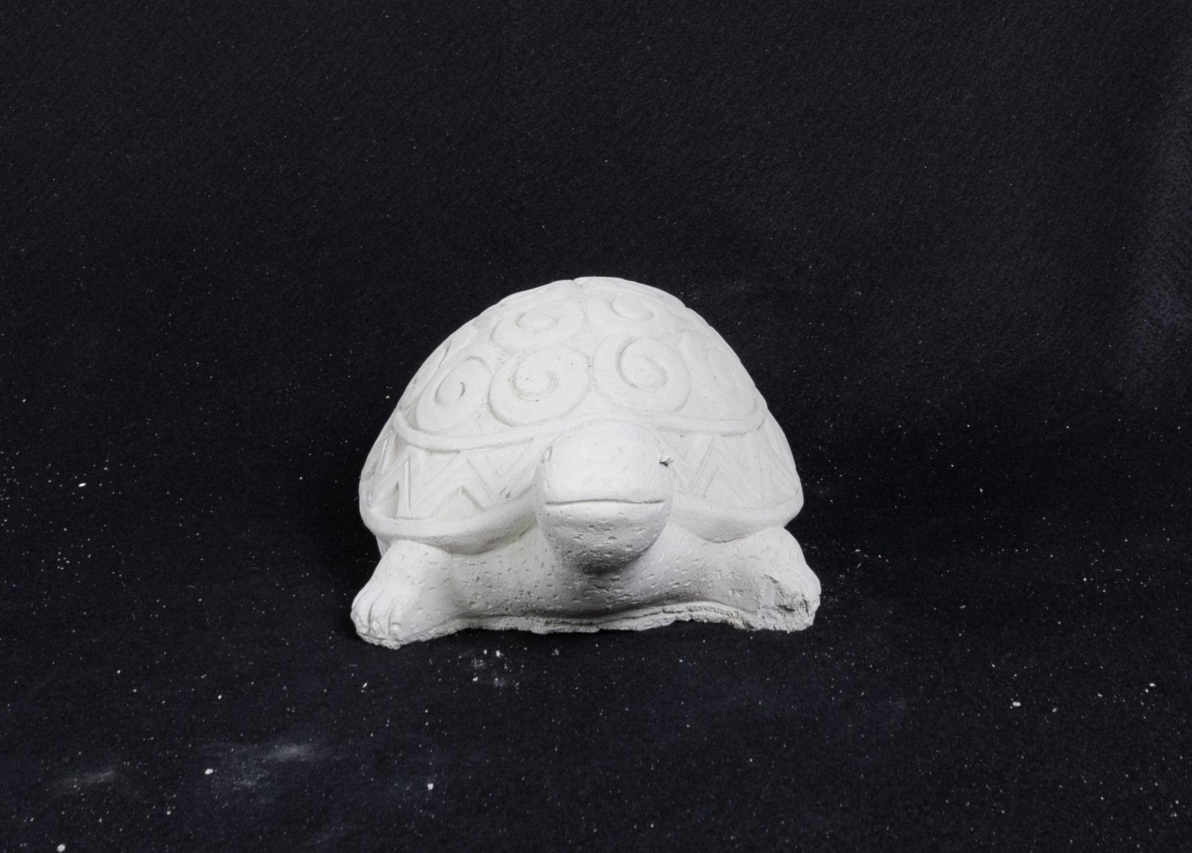Turtle - Swirly Shell