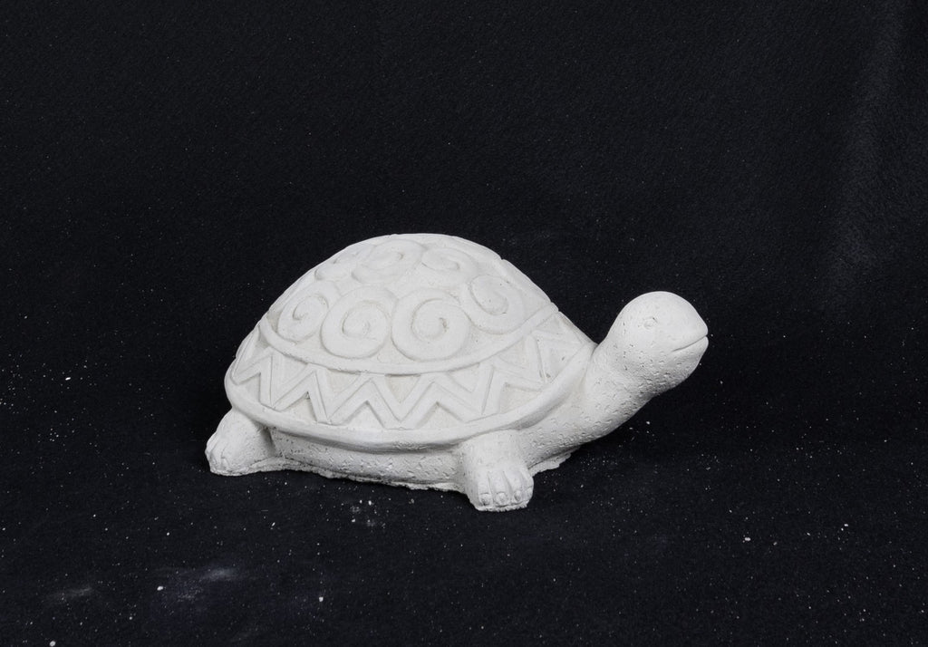 Turtle - Swirly Shell