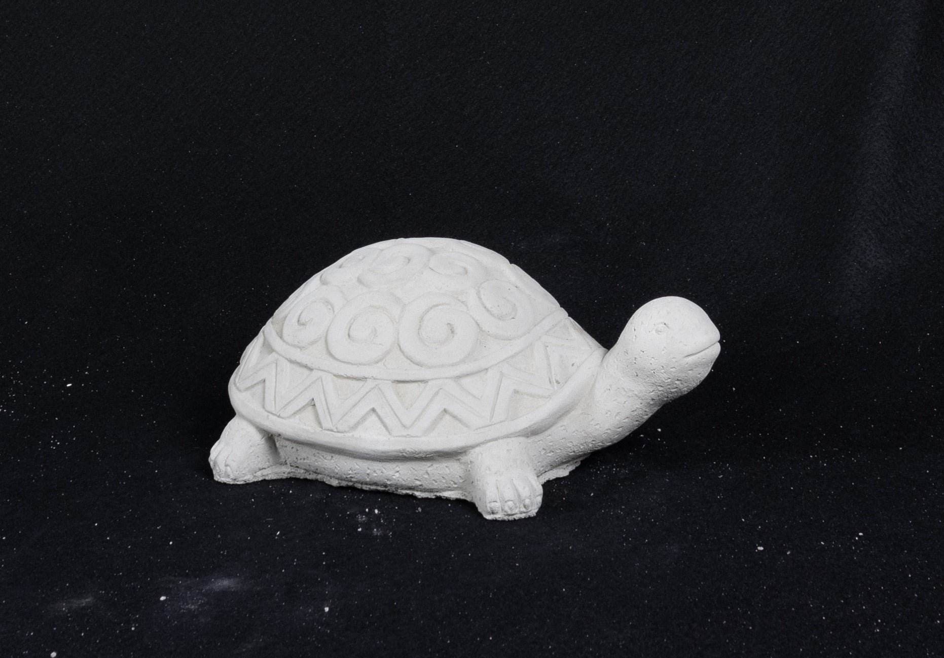 Turtle - Swirly Shell