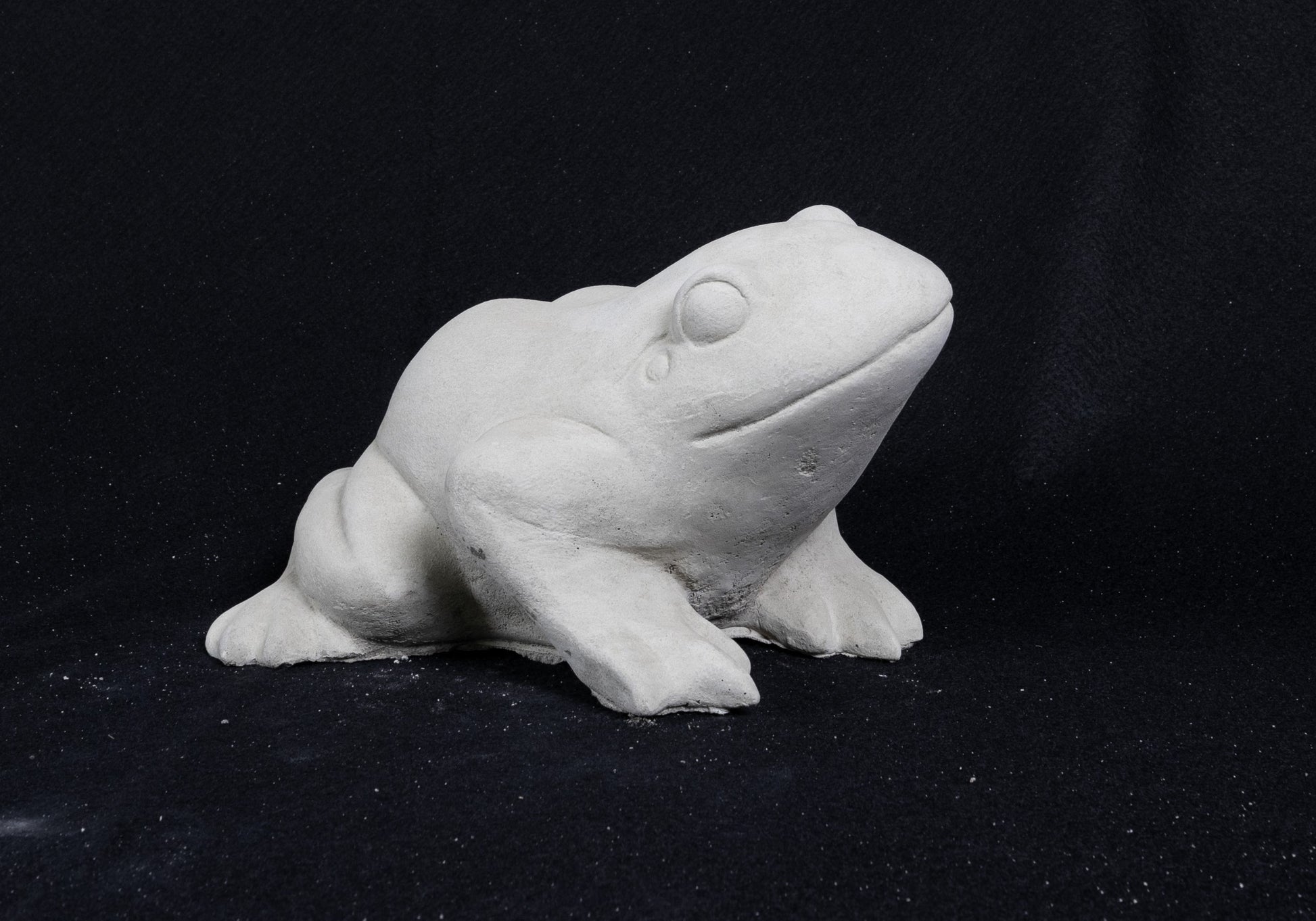 Smooth Frog