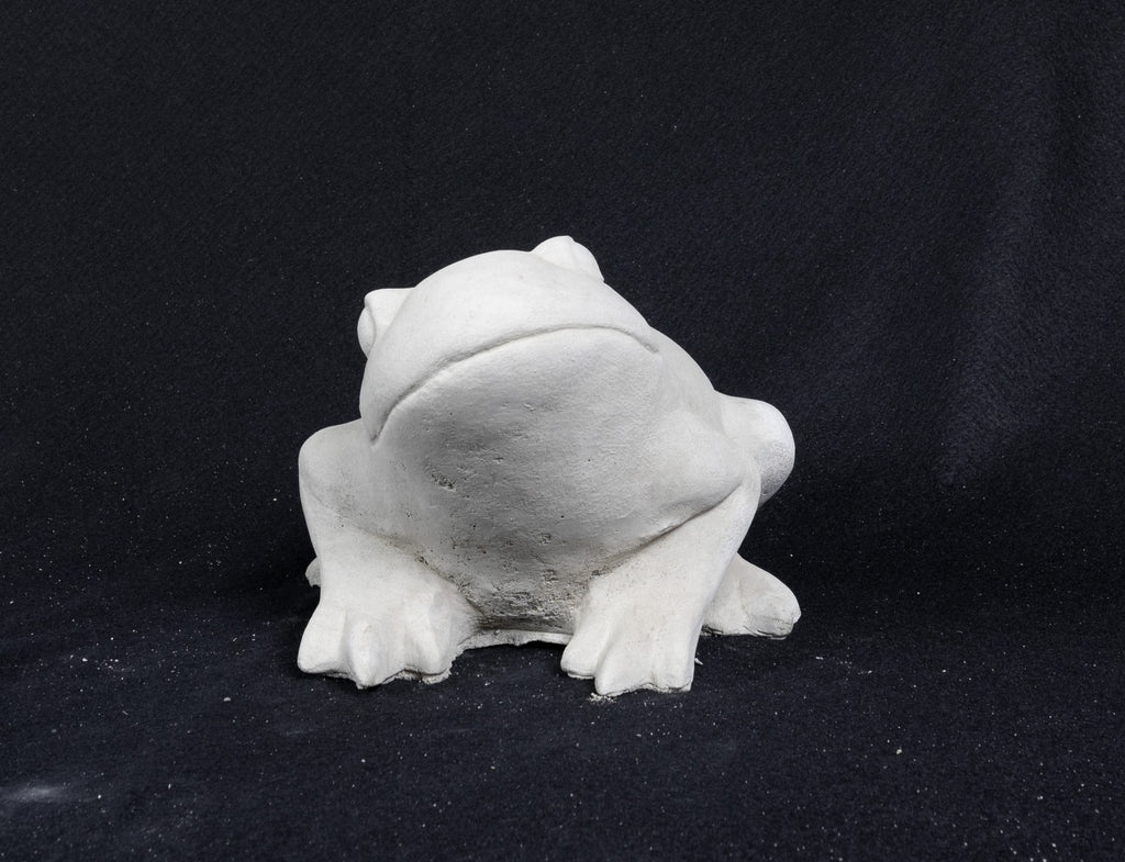 Smooth Frog