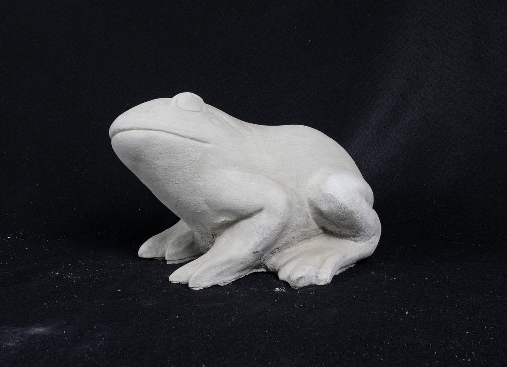 Smooth Frog