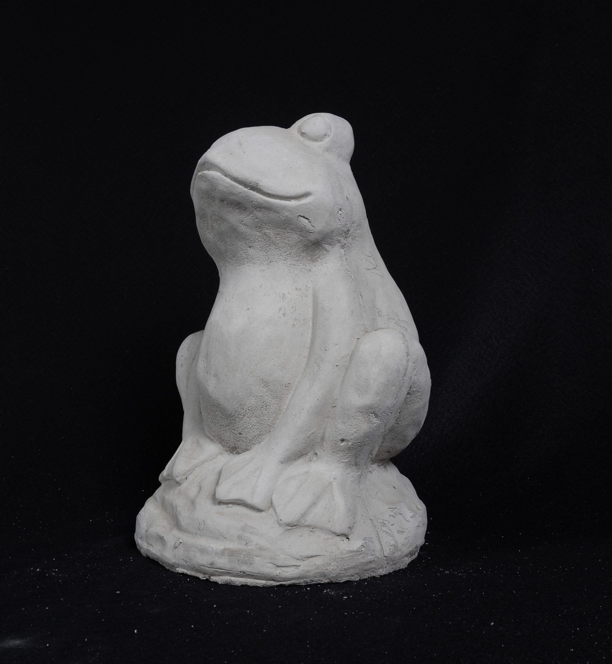 Seated Frog