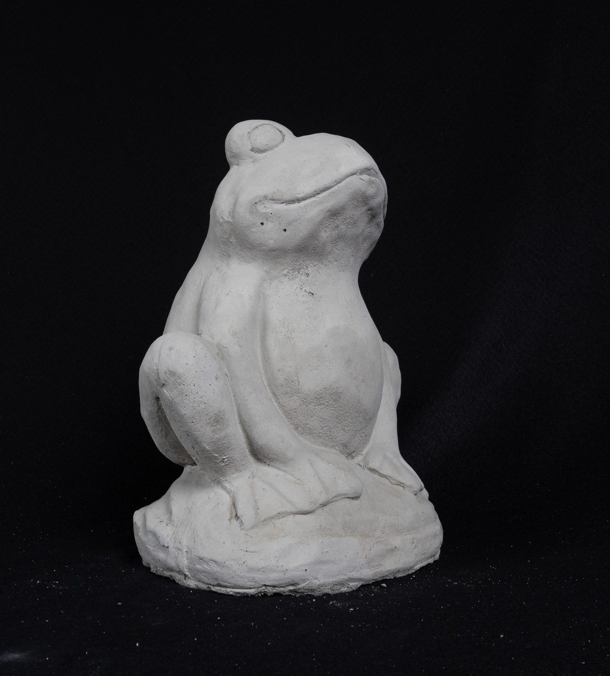 Seated Frog