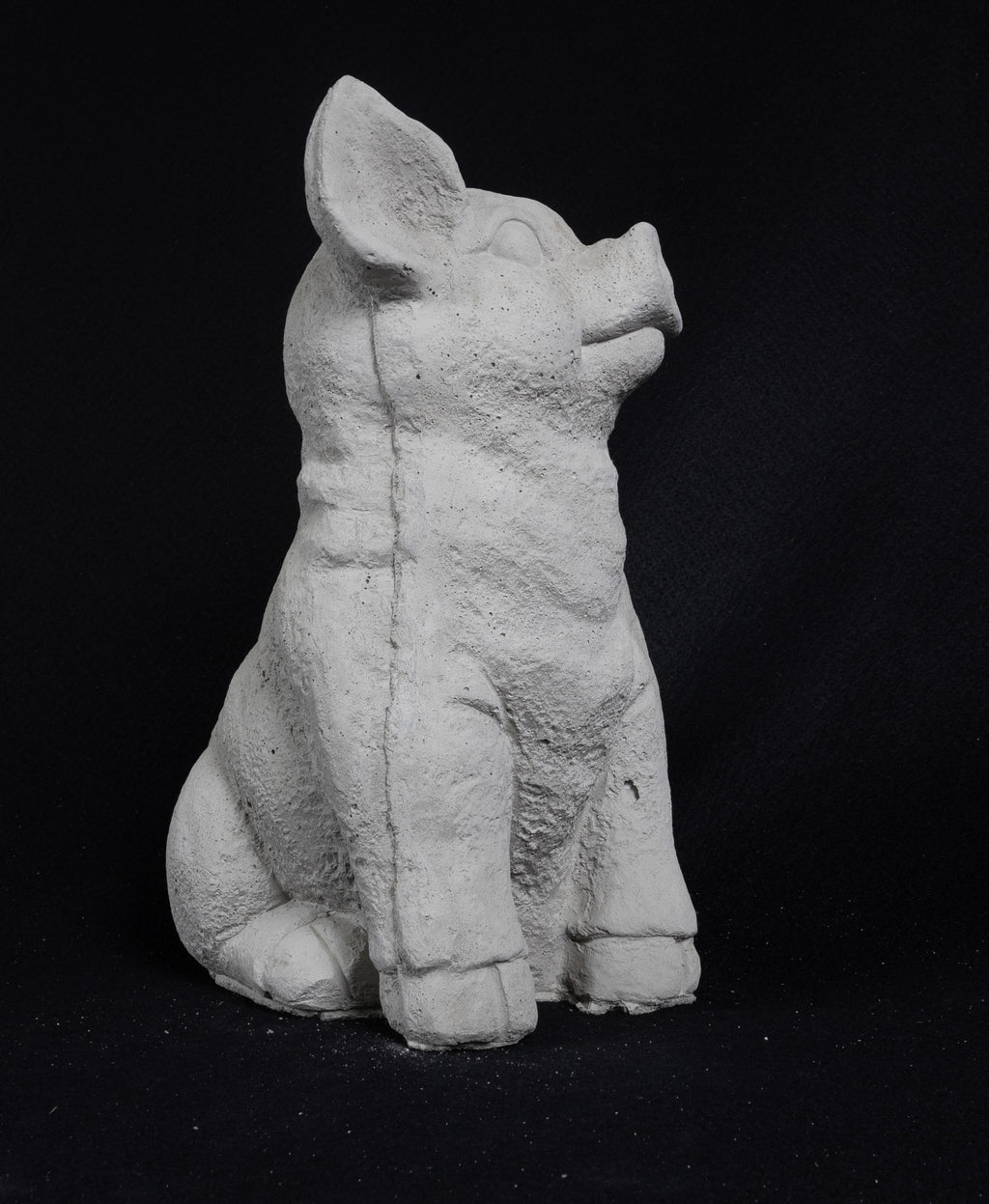 Seated Pig