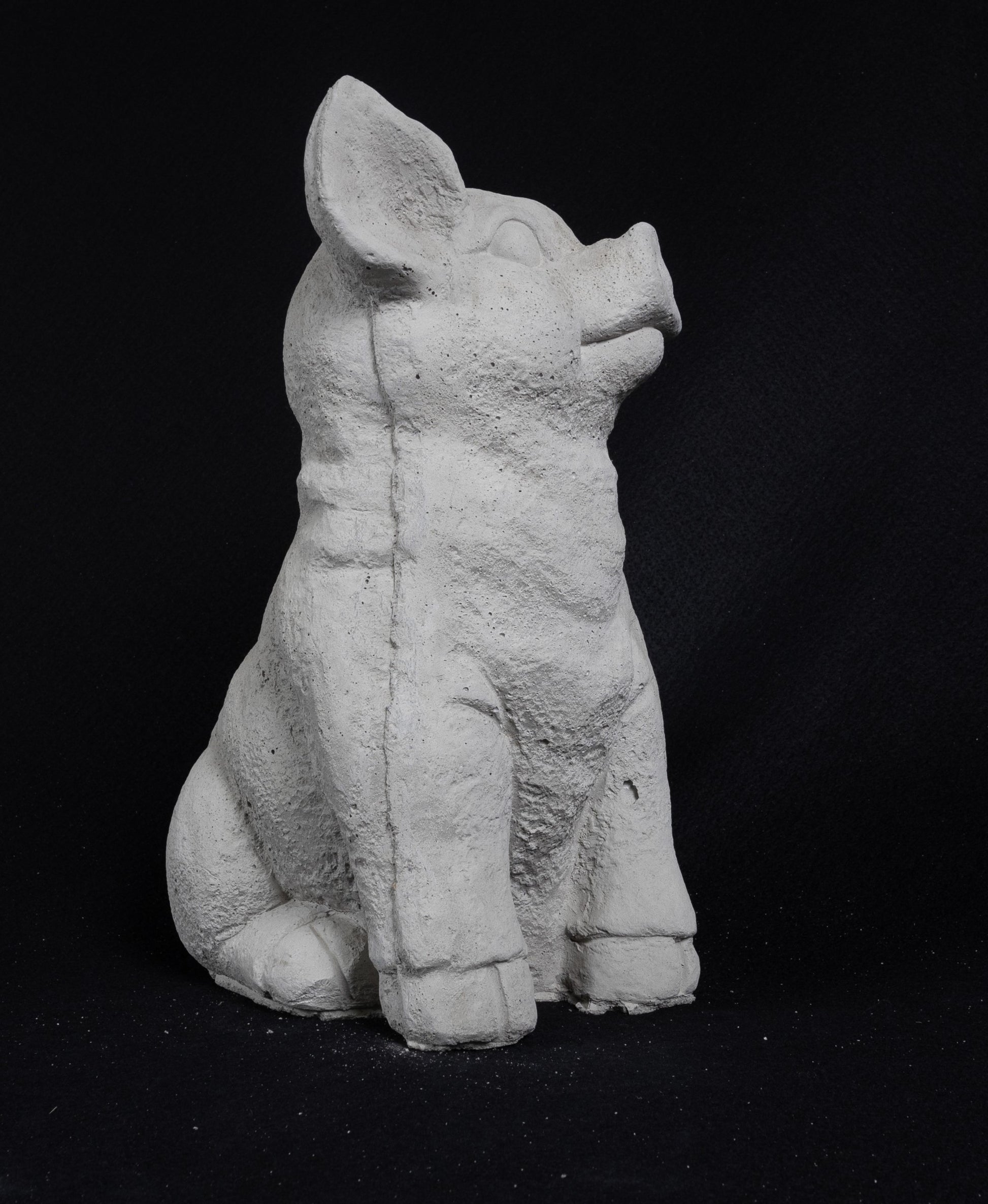 Seated Pig