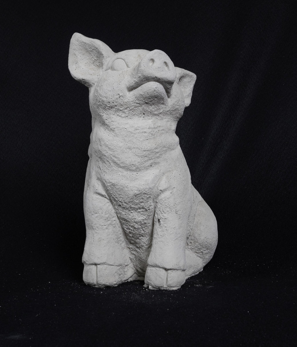 Seated Pig