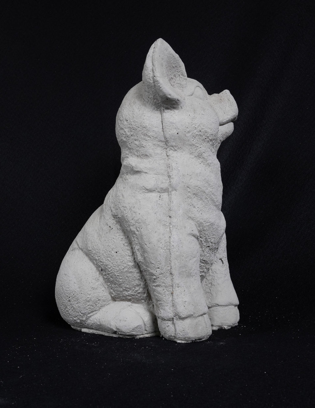 Seated Pig
