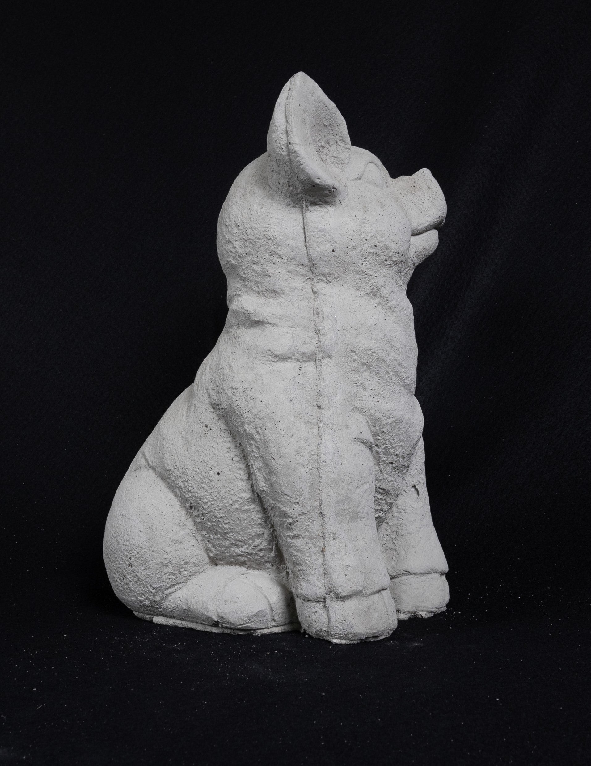 Seated Pig