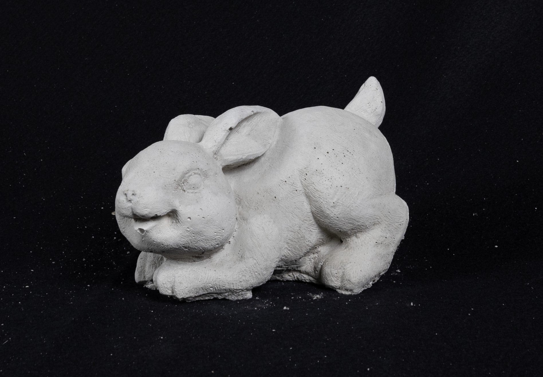 Rabbit crouched