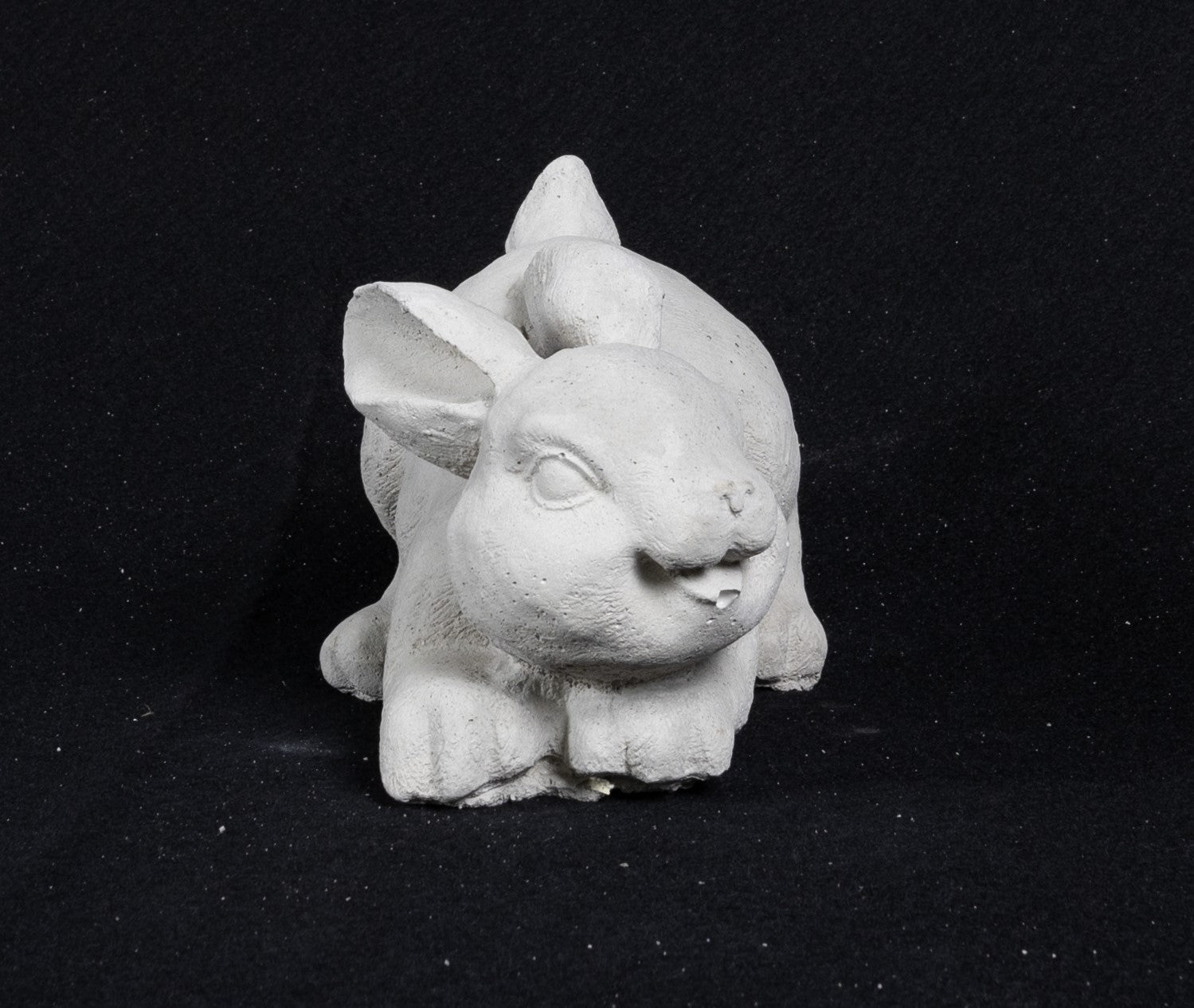 Rabbit crouched