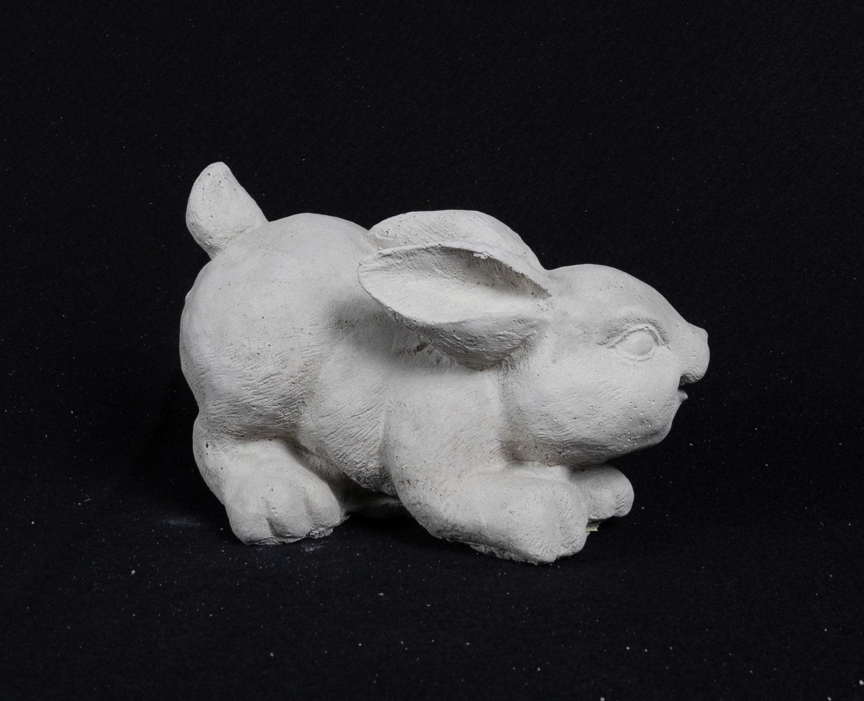 Rabbit crouched