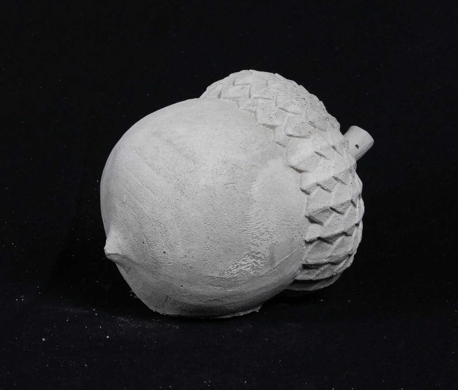 Acorn