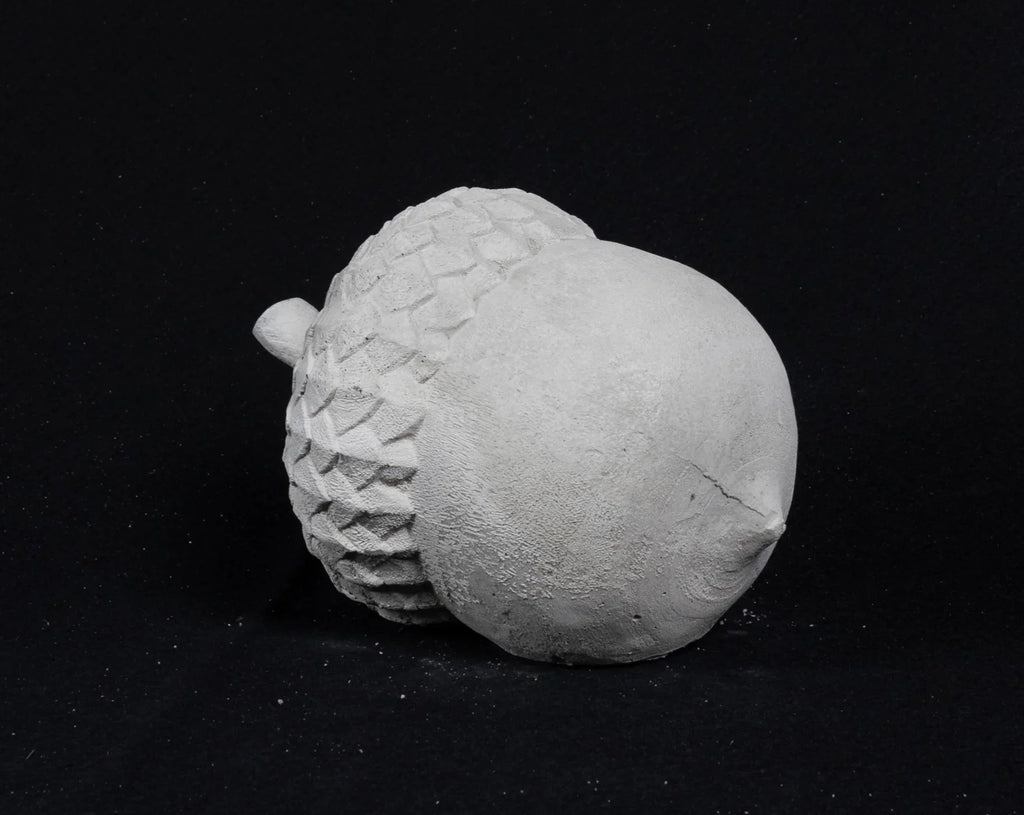 Acorn