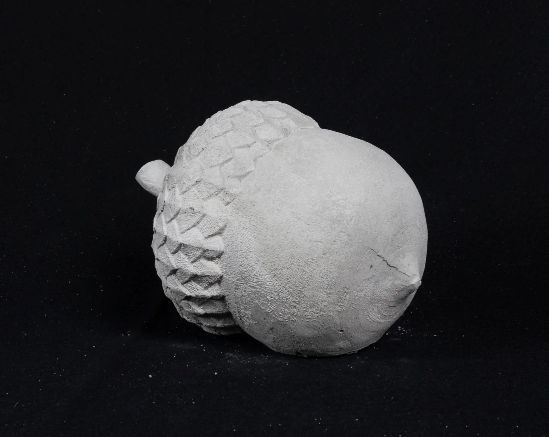 Acorn