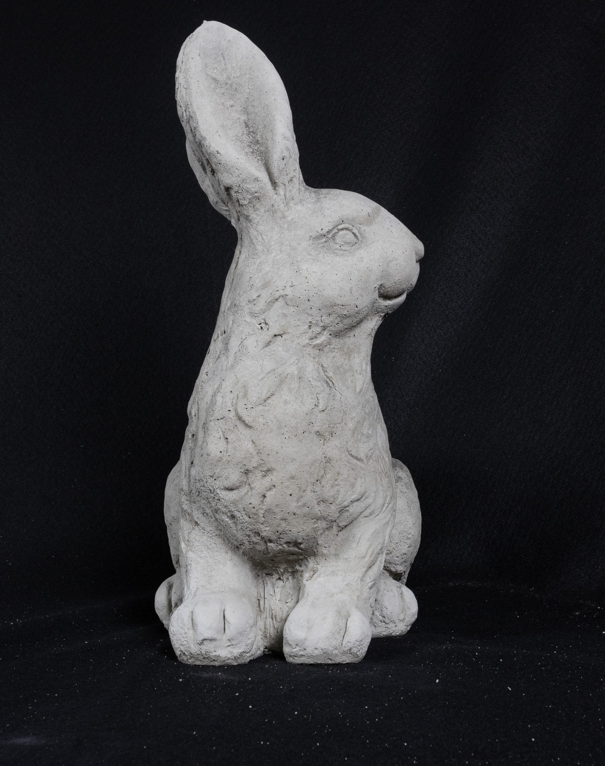 Rabbit (Large)