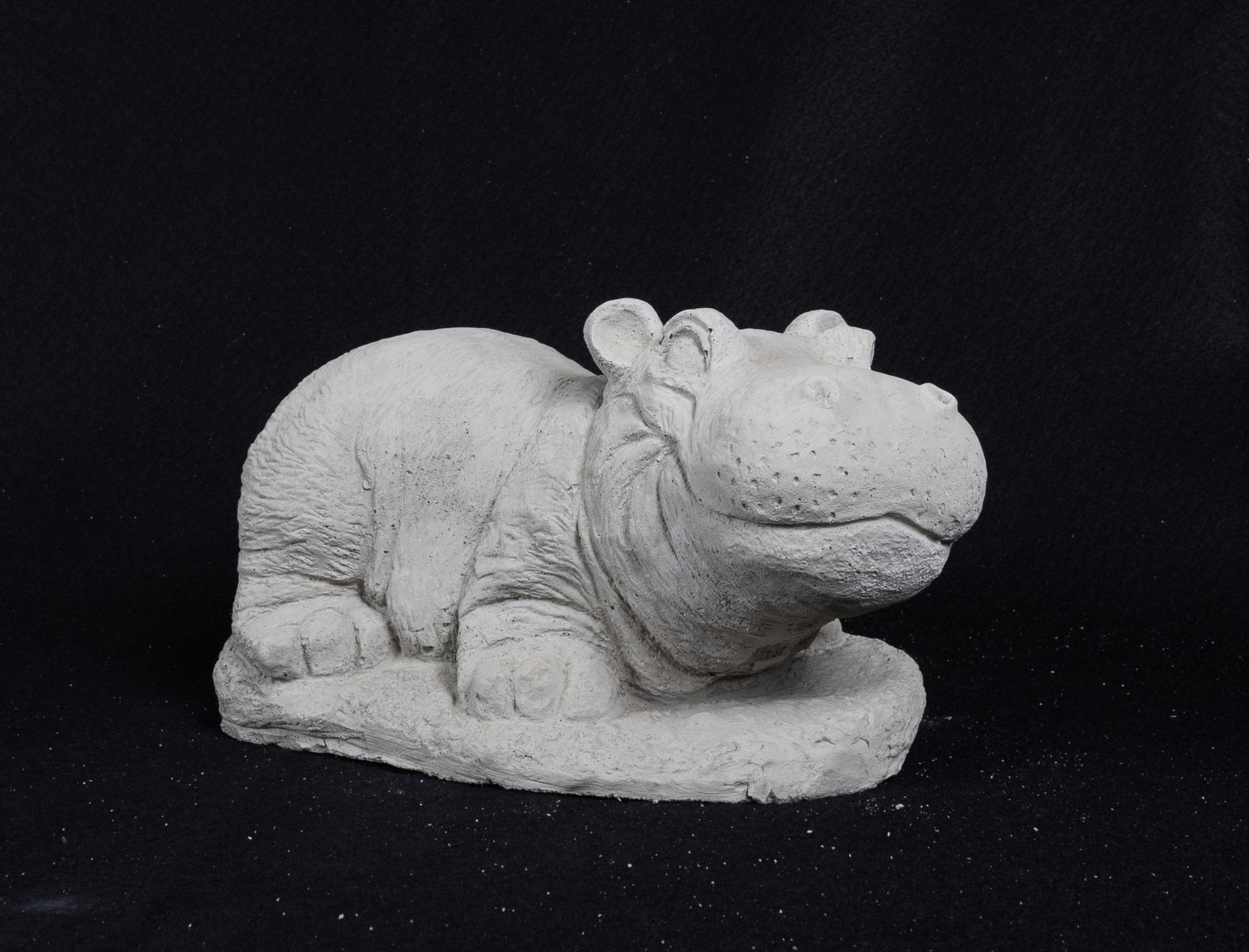 Hippo