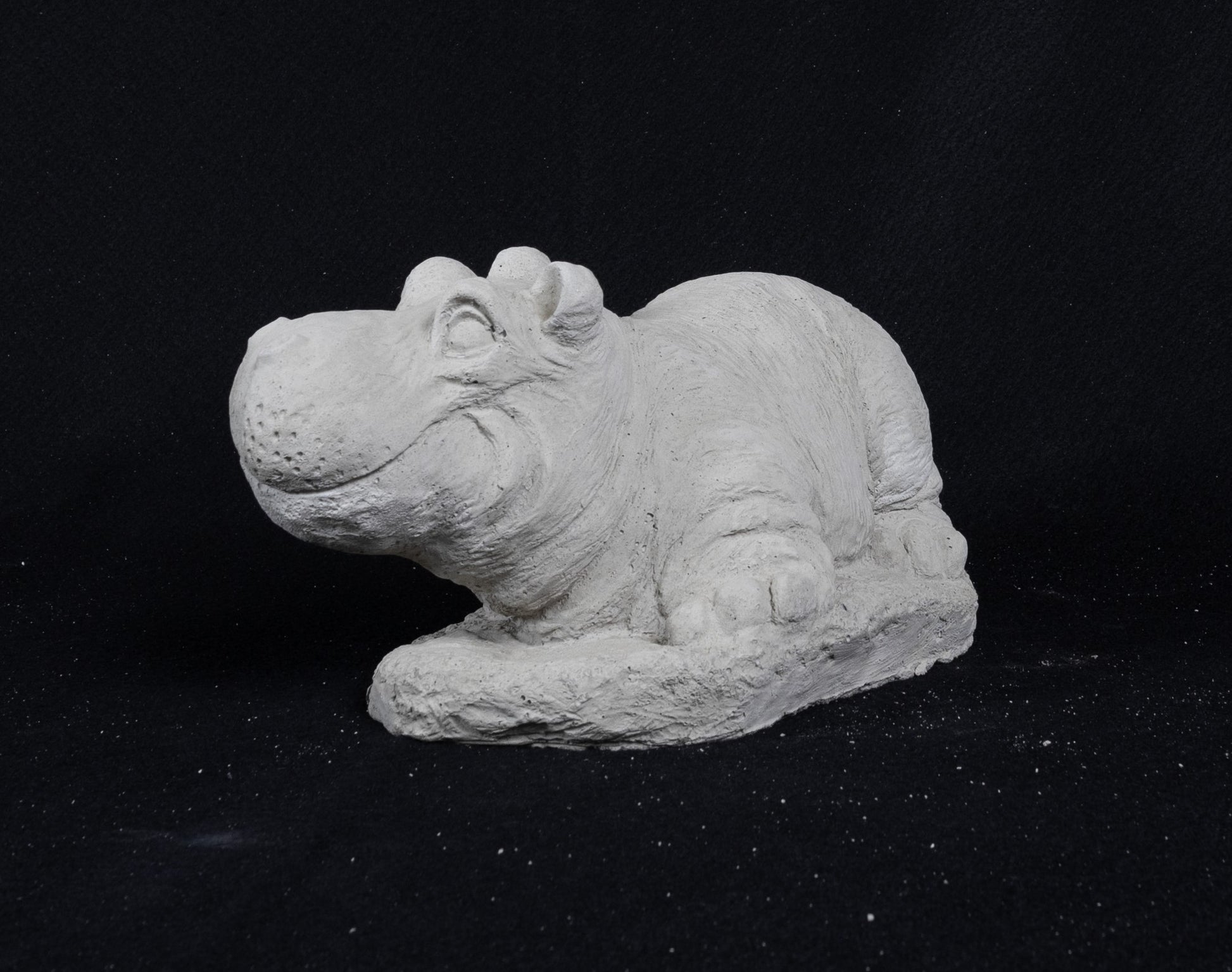 Hippo