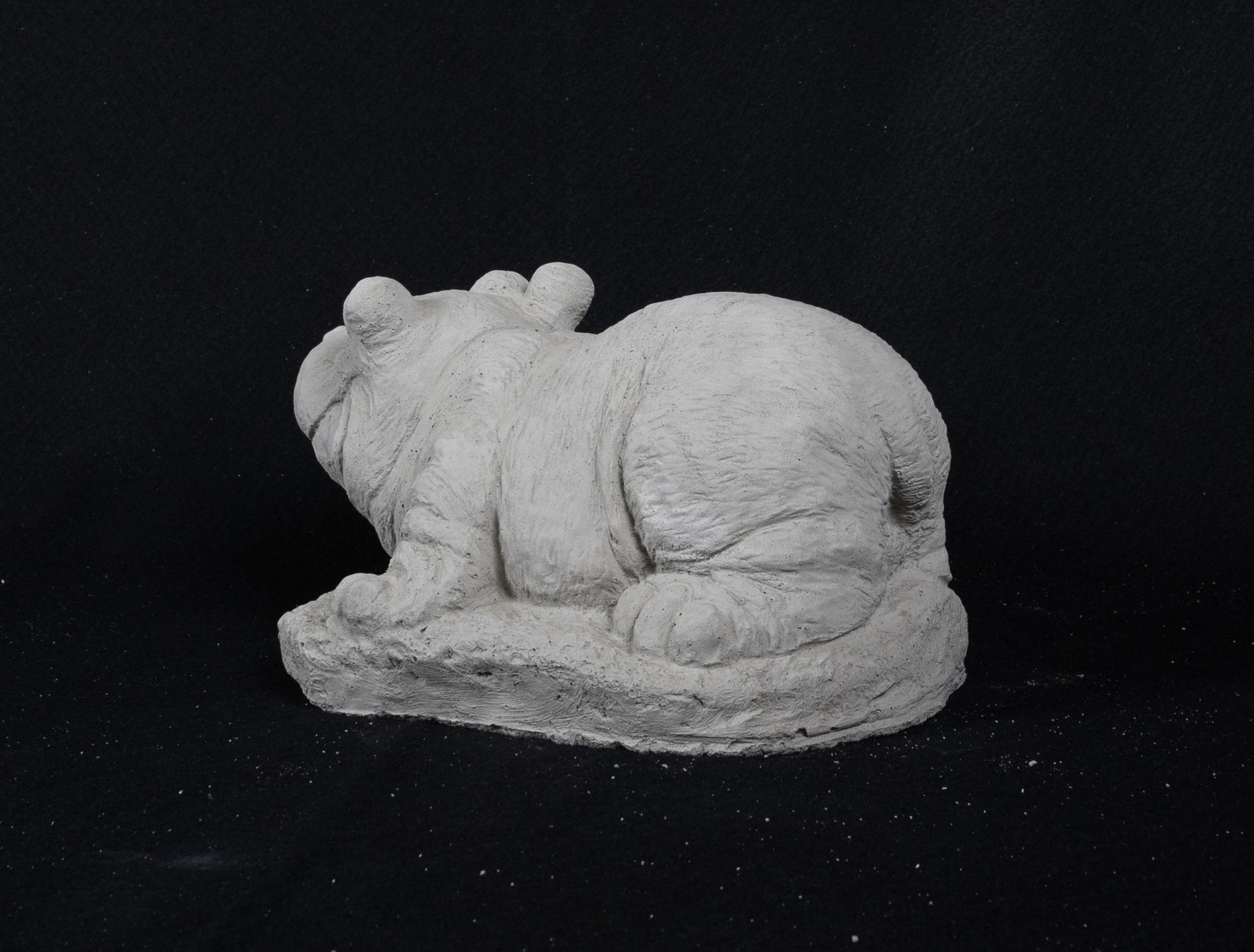 Hippo