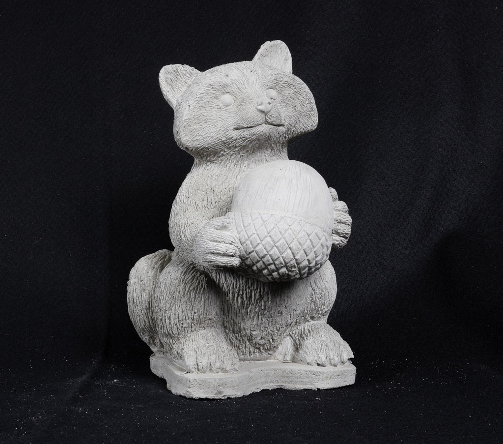Racoon Holding Acorn