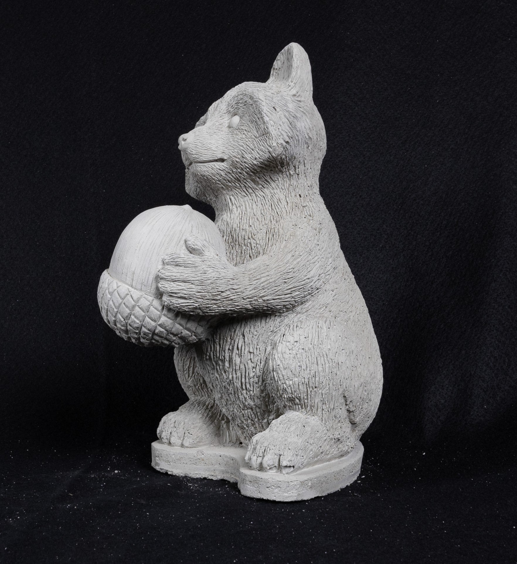 Racoon Holding Acorn