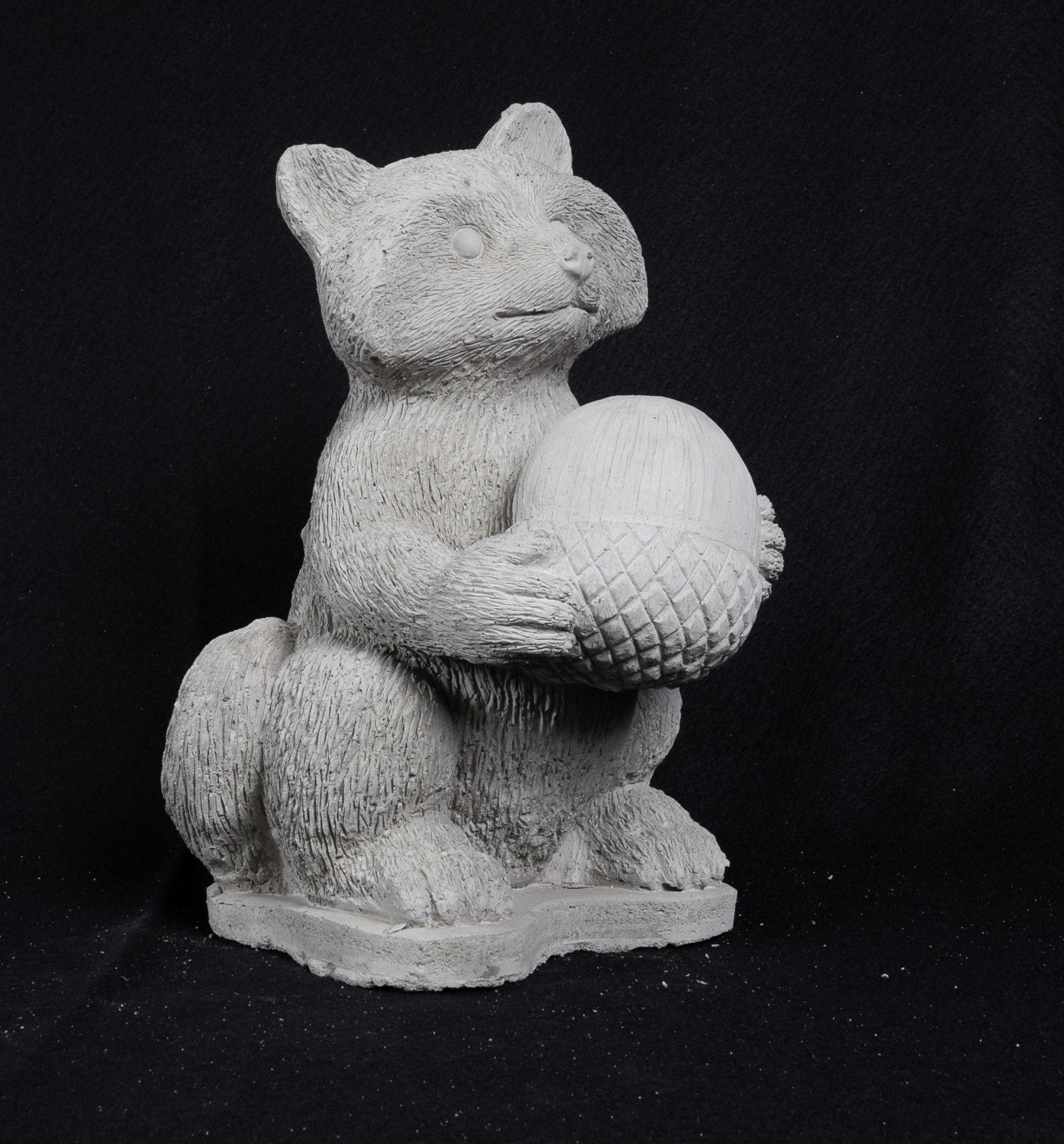 Racoon Holding Acorn