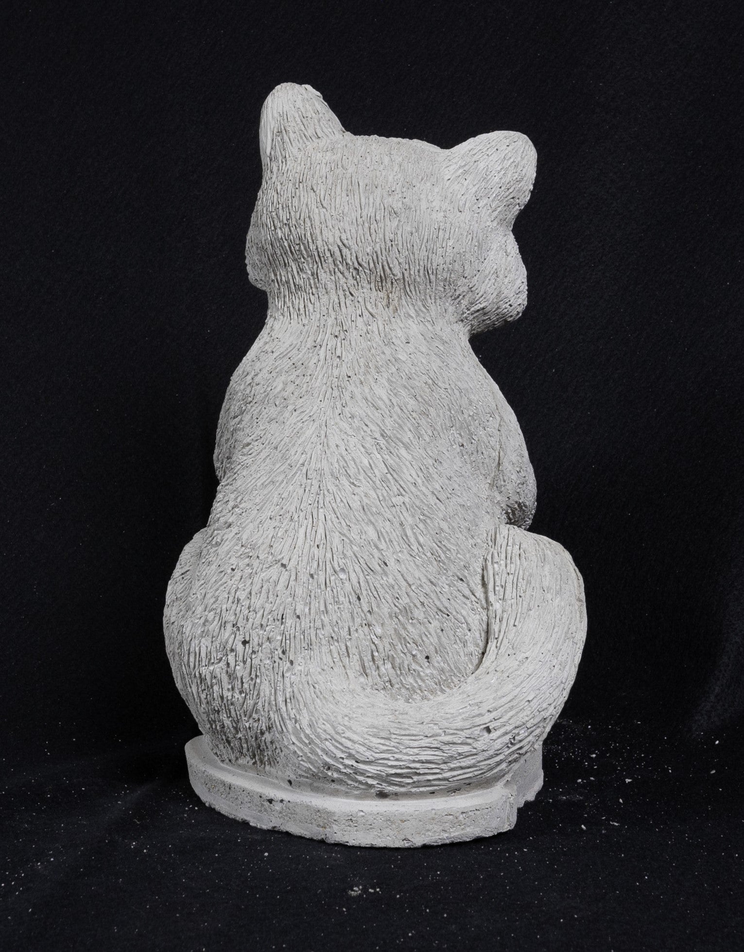 Racoon Holding Acorn