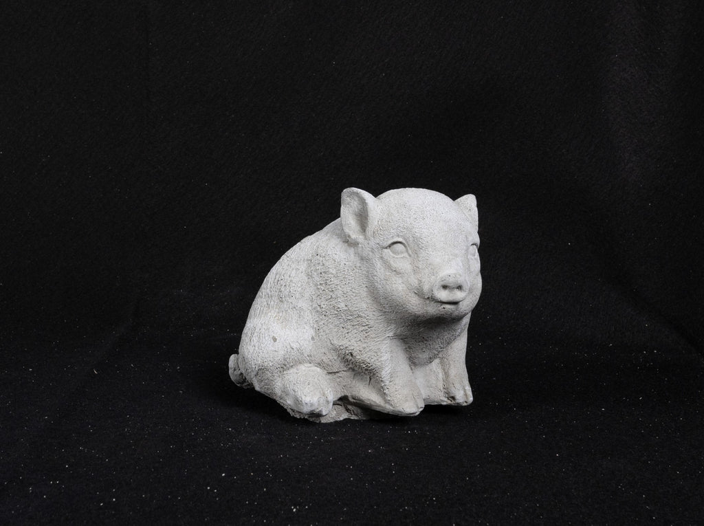 Pig - Micro